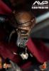  Artikelbild 3 des Artikels “Hot Toys, AVP, ELDER PREDATOR “