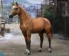  Artikelbild 3 des Artikels “Brown-Red War Horse (Standing) US Army Cavalry - 1/6 scale “