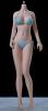  Artikelbild 3 des Artikels “Caucasian Pale Female Super Flexible Seamless Body (Middle Bust) “
