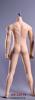  Product image 3 of the product “Caucasian Seamless Male Body Seamless Male Body 1/6 ”