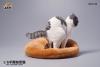  Product image 3 of the product “Exotic Shorthair Cat Half Squat (Ver. B) 1/6 Scale Figure ”