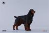  Artikelbild 3 des Artikels “Cocker Spaniel Dog (Black Brown)  1:6 “