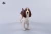  Artikelbild 3 des Artikels “Cocker Spaniel Dog (Dark Brown White)  1:6 “