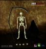  Artikelbild 3 des Artikels “Death 1:6 “