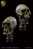  Product image 3 of the product “Skull Vampire edition Head Sculpt 1/6 ”
