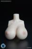  Artikelbild 3 des Artikels “Female Sexy Sonico Student Set (Grey) “