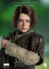  Artikelbild 3 des Artikels “Game Of Thrones - Arya Stark 1:6 “