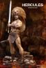  Product image 3 of the product “Hercules 1/6 ”