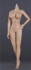  Product image 3 of the product “Caucasian Seamless Female Body (Large Bust) 1/6 ”