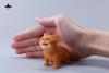  Artikelbild 3 des Artikels “1/6 Kitten (Ver. B) 1/6 Scale “