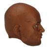  Product image 3 of the product “Kopf Terry  Headsculpt 1/6 ”