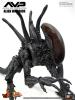  Artikelbild 3 des Artikels “sixth scale Alien Warrier 1/6 “