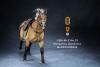  Artikelbild 3 des Artikels “Mongolica Horse (Beige) - in 1:6 scale “