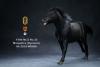  Artikelbild 3 des Artikels “Mongolica Horse (Black) - in 1:6 scale “