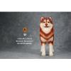  Artikelbild 3 des Artikels “Alaskan Malamute Dog (Orange) 1:6 “