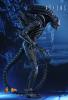  Artikelbild 3 des Artikels “Hot Toys, ALIEN WARRIOR “