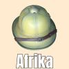  Product image 3 of the product “Tropical Pith Helmet 1/6 Luftwaffe ”