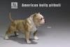  Artikelbild 3 des Artikels “MR.Z American Bully Pitbull  B 1:6 “