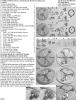  Product image 3 of the product “TIGER Fahrer und Funker Luken 1/6 Metal ”