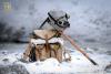  Product image 3 of the product “Soviet Mountain Infantry Officer - WW-II - in 1/6 scale ”