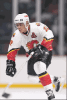  Product image 3 of the product “Jarome Iginla ”