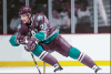  Product image 3 of the product “Sergei Fedorov ”