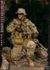 Product image 4 of the product “DAMTOYS 1/6 NAVY SEALS  SDV TEAM 1 Sniper ”