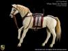  Product image 4 of the product “War Horse - Horse for General (White) ”