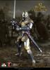  Product image 4 of the product “12 Paladins of Charlemagne ”