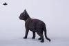  Artikelbild 4 des Artikels “1/3 Scale Devon Rex Cat (Black) “