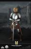  Product image 4 of the product “1/4 TEUTONIC KNIGHT ”