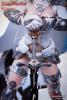  Product image 4 of the product “Silver Huntress 1/6th Scale Action Figure ”