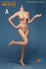  Artikelbild 4 des Artikels “1:6 Scale Hot Stuff Seamless Female Body 2.0 B (Flesh) “