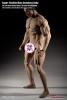  Product image 4 of the product “Seamless Ultra Muscle Body M35 1/6 ”