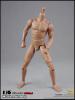  Product image 4 of the product “1/6 2.0 Long Neck male Body HIGH (narrow shoulders) ”