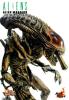  Artikelbild 4 des Artikels “1:6 Hot Predalien “