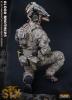  Artikelbild 4 des Artikels “Blood Brothers - Seal Team VI in 1:6 “