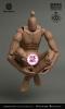  Product image 4 of the product “World Boxer Nackte Figur Caucasian 1/6 ”