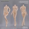  Artikelbild 4 des Artikels “Caucasian Pale Female Super Flexible Seamless Body (Small Bust) 1:6 “