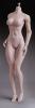  Product image 4 of the product “Caucasian Seamless Female Body (Middle Bust Pale) ”