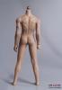  Artikelbild 4 des Artikels “Caucasian Seamless Male Body 1:6 “