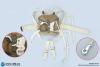  Product image 4 of the product “Fallschirm RZ 20 mit Gurtzeug 1/6 ”