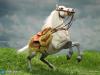  Product image 4 of the product “1/6 Emperor Of French - Napoleon Bonaparte War Horse  (White) ”