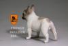  Artikelbild 4 des Artikels “MR.Z French Bulldog 05 1:6 “