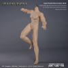  Artikelbild 4 des Artikels “Seamless Caucasian Seamless Male Body 1:6 “