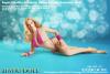  Product image 4 of the product “Caucasian Seamless Female Body (Large Bust) 1/6 ”