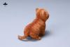  Artikelbild 4 des Artikels “1/6 Kitten (Ver. B) 1/6 Scale “