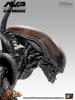  Artikelbild 4 des Artikels “sixth scale Alien Warrier 1/6 “
