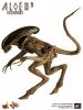  Product image 4 of the product “1:6 Hot Toys Aliens DOG ALIEN Alien Warrior ”