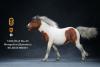  Artikelbild 4 des Artikels “Mongolica Horse (Brown White) - in 1:6 scale “